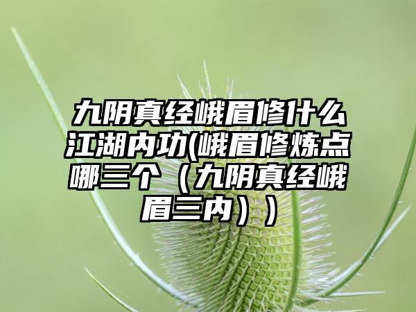 九阴真经峨眉修什么江湖内功(峨眉修炼点哪三个（九阴真经峨眉三内）)