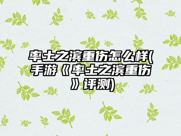 率土之滨重伤怎么样(手游《率土之滨重伤》评测)
