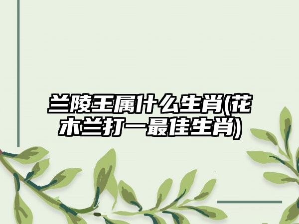 兰陵王属什么生肖(花木兰打一最佳生肖)