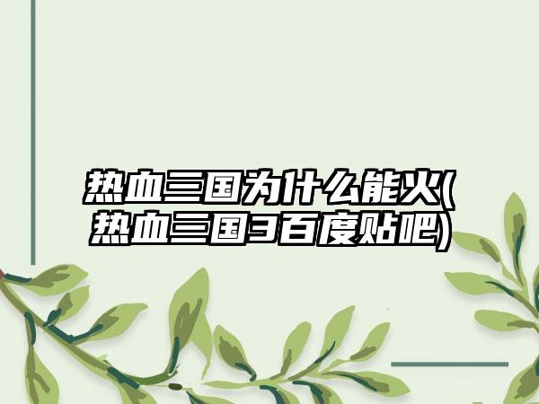 热血三国为什么能火(热血三国3百度贴吧)