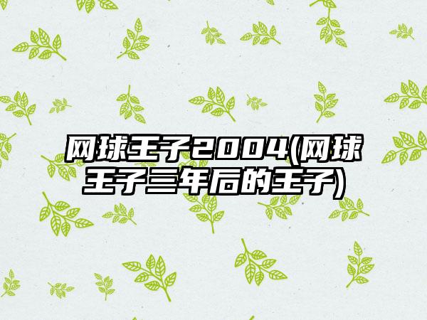 网球王子2004(网球王子三年后的王子)