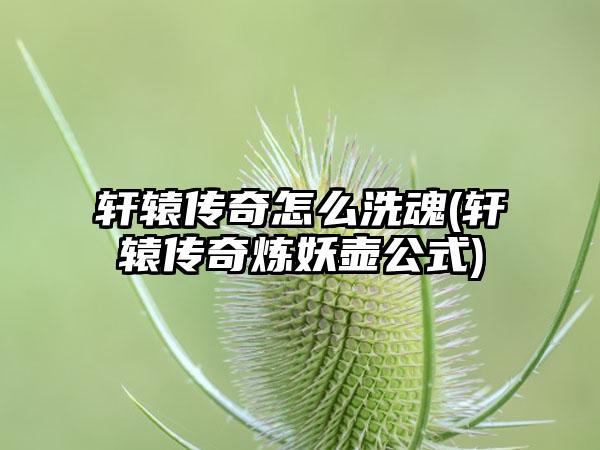 轩辕传奇怎么洗魂(轩辕传奇炼妖壶公式)