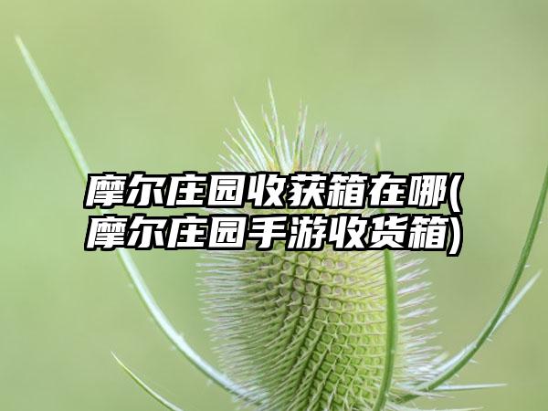 摩尔庄园收获箱在哪(摩尔庄园手游收货箱)