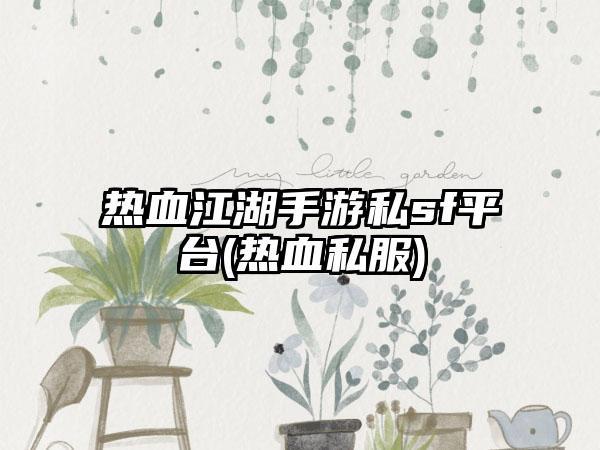 热血江湖手游私sf平台(热血私服)
