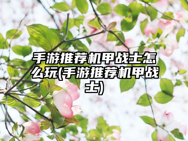 手游推荐机甲战士怎么玩(手游推荐机甲战士)