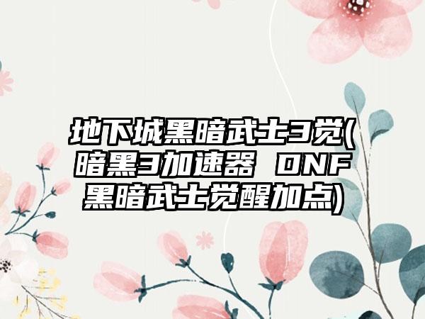 地下城黑暗武士3觉(暗黑3加速器 DNF黑暗武士觉醒加点)