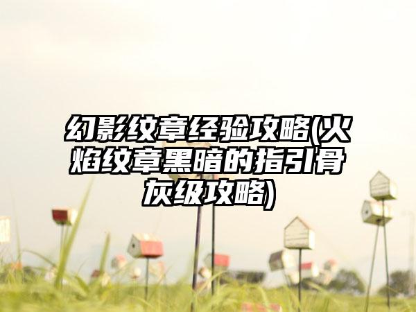 幻影纹章经验攻略(火焰纹章黑暗的指引骨灰级攻略)