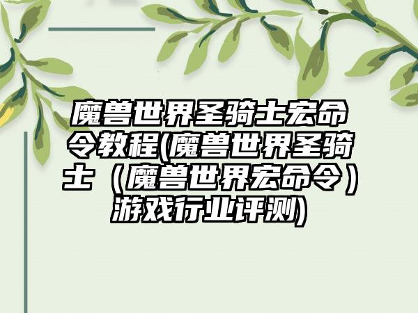 魔兽世界圣骑士宏命令教程(魔兽世界圣骑士（魔兽世界宏命令）游戏行业评测)