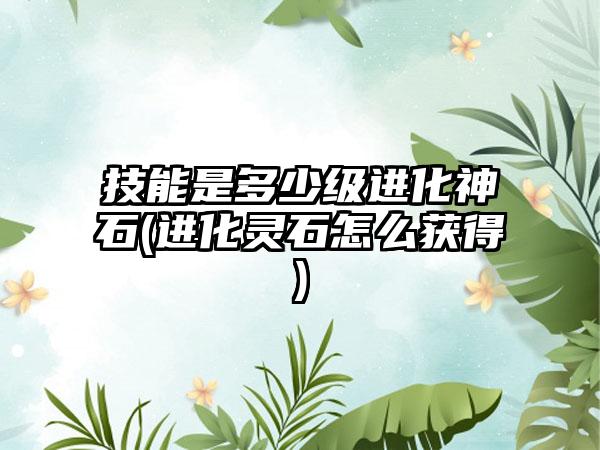 技能是多少级进化神石(进化灵石怎么获得)