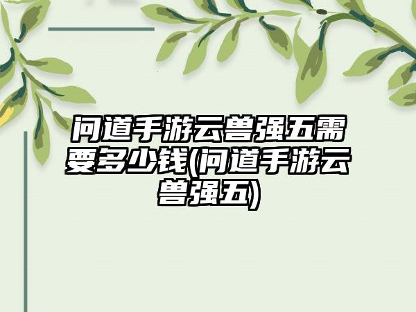 问道手游云兽强五需要多少钱(问道手游云兽强五)