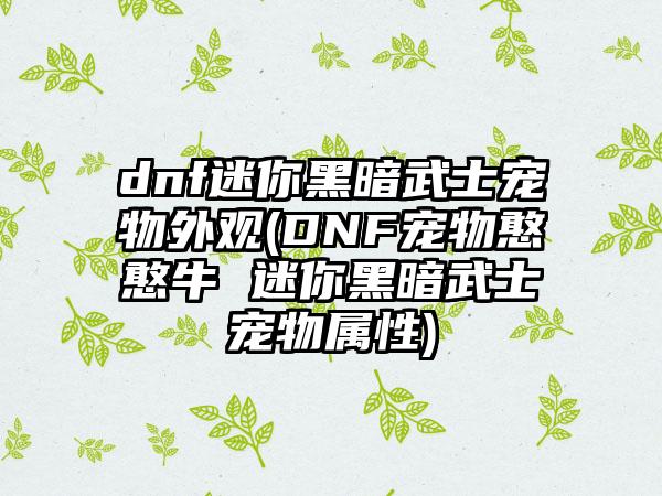 dnf迷你黑暗武士宠物外观(DNF宠物憨憨牛 迷你黑暗武士宠物属性)