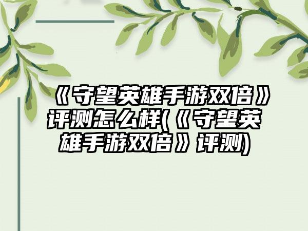 《守望英雄手游双倍》评测怎么样(《守望英雄手游双倍》评测)