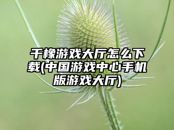 千橡游戏大厅怎么下载(中国游戏中心手机版游戏大厅)