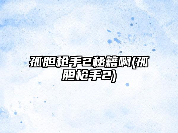 孤胆枪手2秘籍啊(孤胆枪手2)