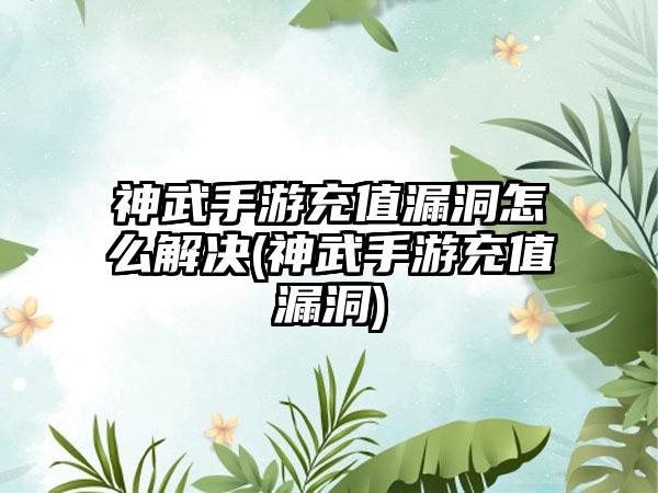 神武手游充值漏洞怎么解决(神武手游充值漏洞)