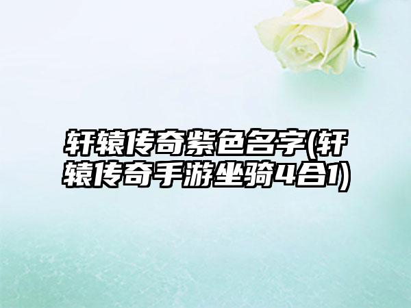 轩辕传奇紫色名字(轩辕传奇手游坐骑4合1)