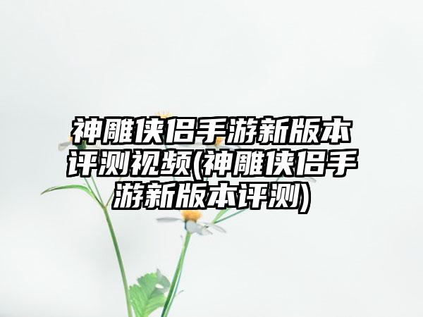 神雕侠侣手游新版本评测视频(神雕侠侣手游新版本评测)