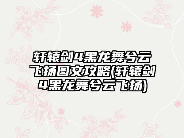 轩辕剑4黑龙舞兮云飞扬图文攻略(轩辕剑4黑龙舞兮云飞扬)