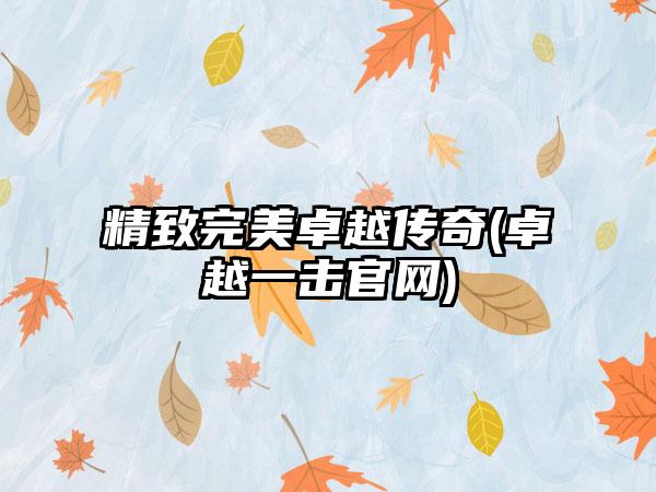 精致完美卓越传奇(卓越一击官网)