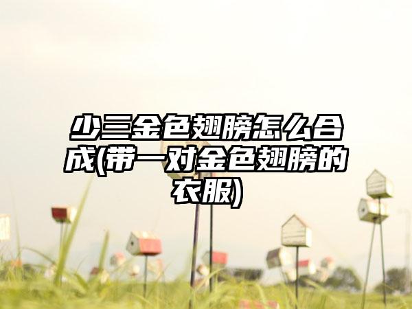 少三金色翅膀怎么合成(带一对金色翅膀的衣服)