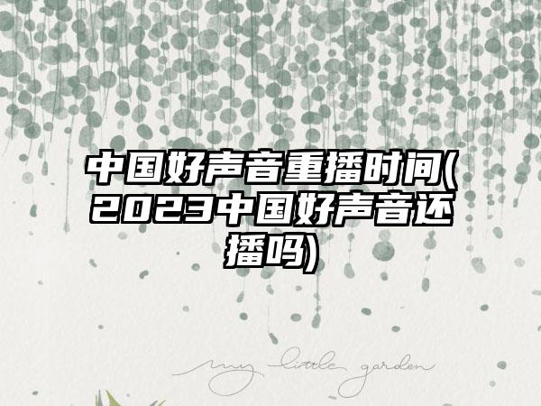 中国好声音重播时间(2023中国好声音还播吗)
