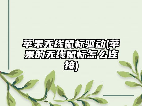 苹果无线鼠标驱动(苹果的无线鼠标怎么连接)