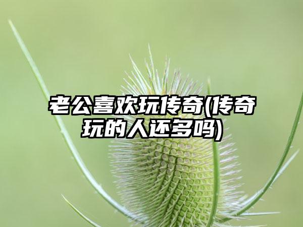 老公喜欢玩传奇(传奇玩的人还多吗)