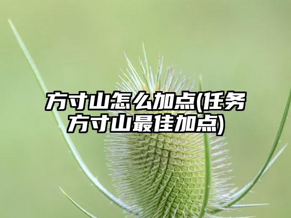 方寸山怎么加点(任务方寸山最佳加点)