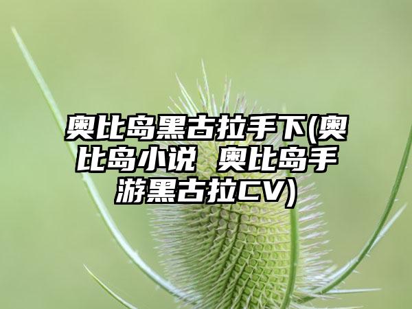 奥比岛黑古拉手下(奥比岛小说 奥比岛手游黑古拉CV)