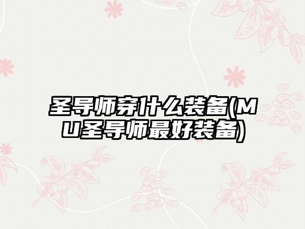 圣导师穿什么装备(MU圣导师最好装备)