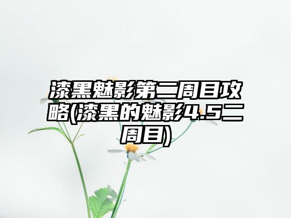 漆黑魅影第二周目攻略(漆黑的魅影4.5二周目)