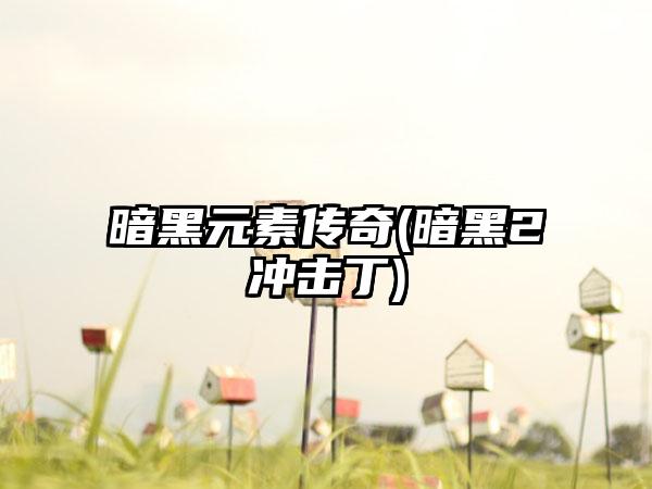 暗黑元素传奇(暗黑2冲击丁)