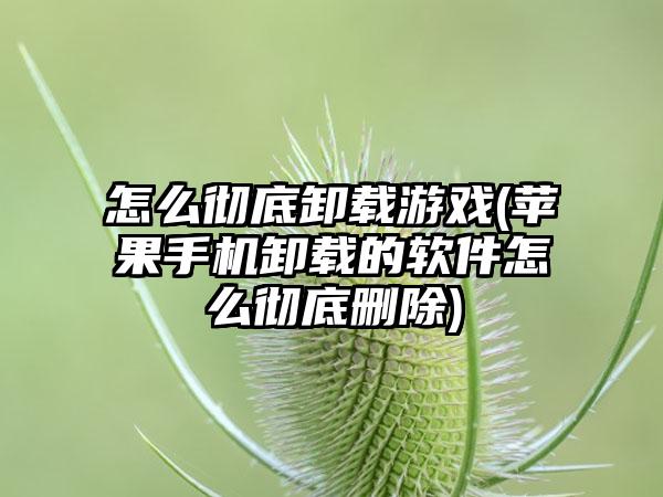 怎么彻底卸载游戏(苹果手机卸载的软件怎么彻底删除)