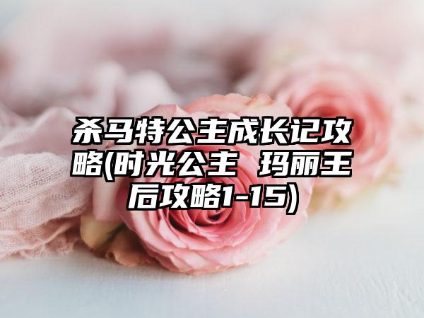 杀马特公主成长记攻略(时光公主 玛丽王后攻略1-15)