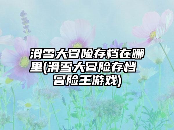 滑雪大冒险存档在哪里(滑雪大冒险存档 冒险王游戏)