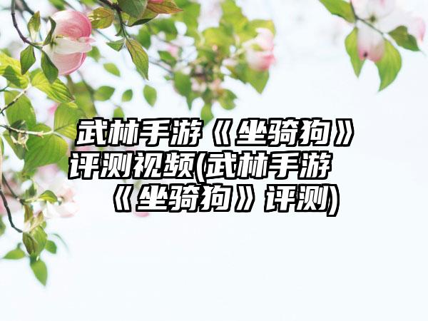 武林手游《坐骑狗》评测视频(武林手游《坐骑狗》评测)
