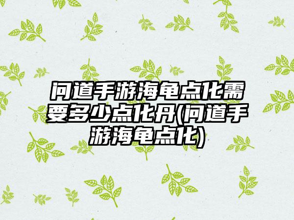 问道手游海龟点化需要多少点化丹(问道手游海龟点化)