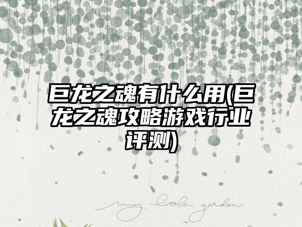 巨龙之魂有什么用(巨龙之魂攻略游戏行业评测)