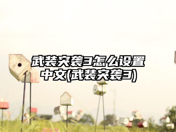 武装突袭3怎么设置中文(武装突袭3)