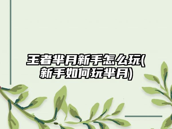 王者芈月新手怎么玩(新手如何玩芈月)