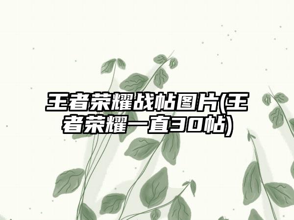 王者荣耀战帖图片(王者荣耀一直30帖)