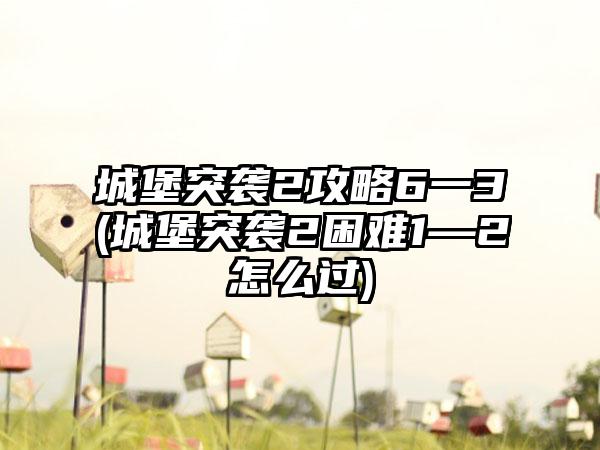 城堡突袭2攻略6一3(城堡突袭2困难1—2怎么过)