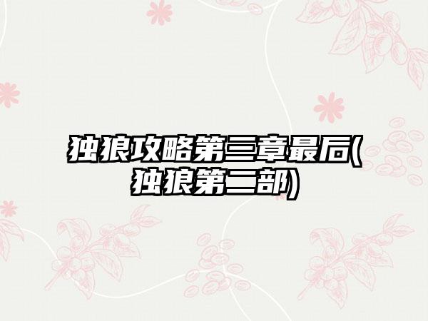 独狼攻略第三章最后(独狼第二部)