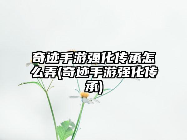 奇迹手游强化传承怎么弄(奇迹手游强化传承)