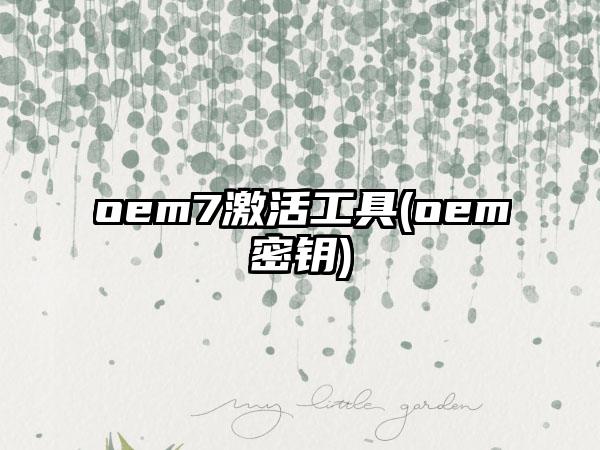 oem7激活工具(oem密钥)
