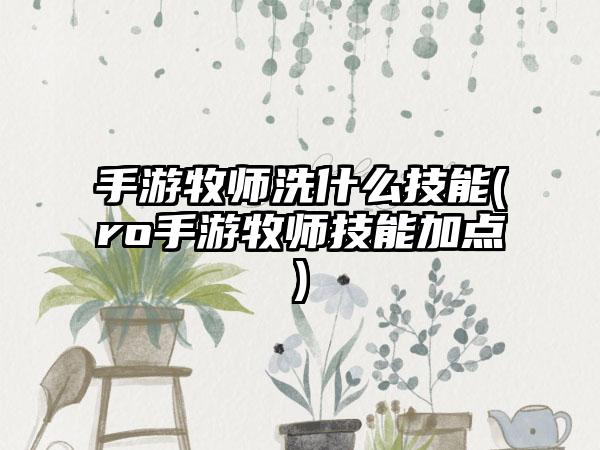 手游牧师洗什么技能(ro手游牧师技能加点)