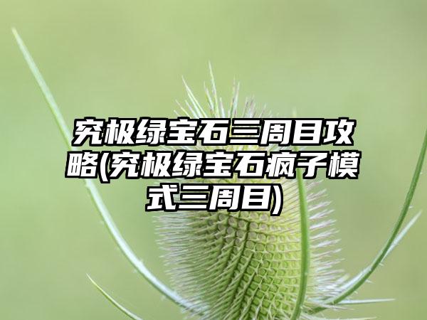 究极绿宝石三周目攻略(究极绿宝石疯子模式三周目)