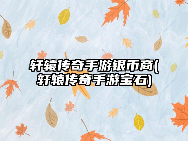轩辕传奇手游银币商(轩辕传奇手游宝石)