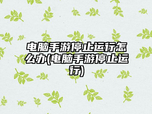 电脑手游停止运行怎么办(电脑手游停止运行)