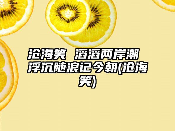 沧海笑 滔滔两岸潮 浮沉随浪记今朝(沧海笑)